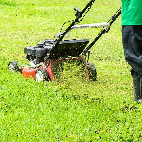 Garden Service